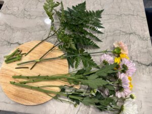 Gardening Cut Flowers Care