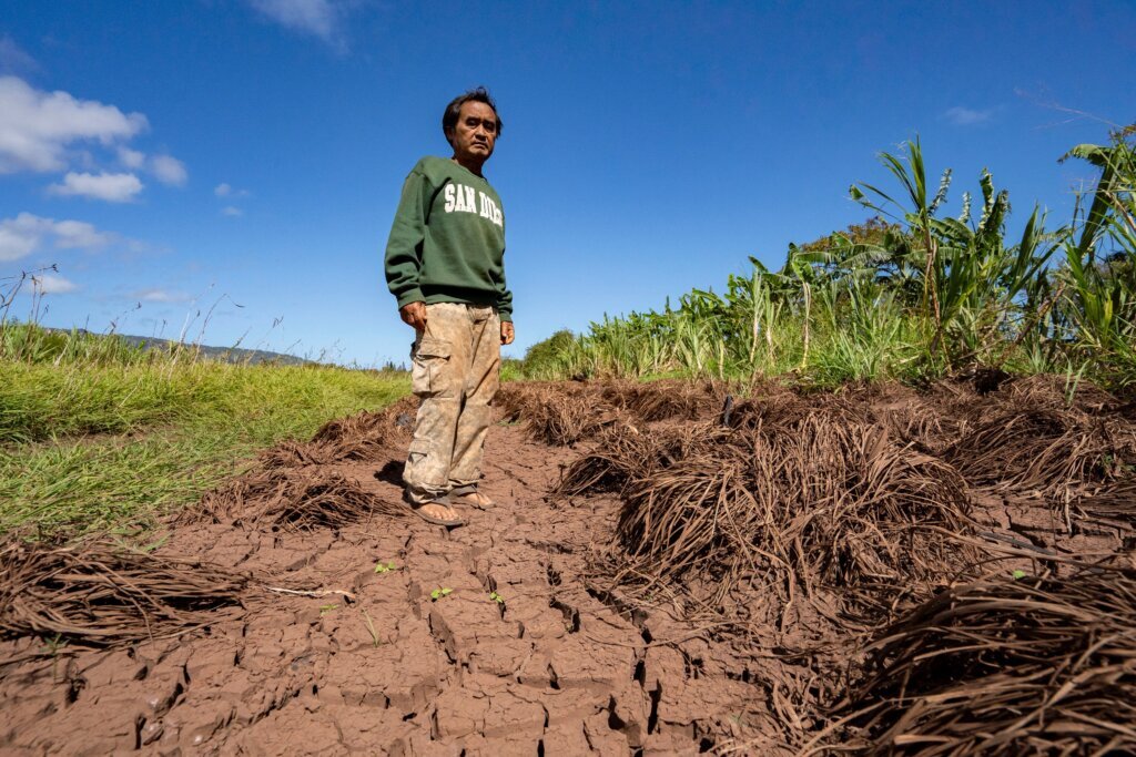 Hawaii Flooding Small Farms