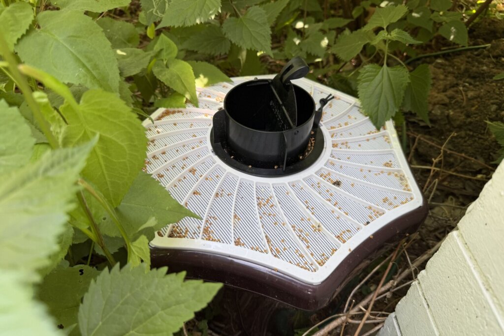 Mosquito trap