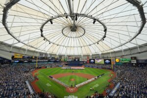 Rays Ballpark Baseball