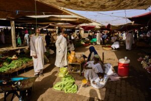 Sudan Planting Season