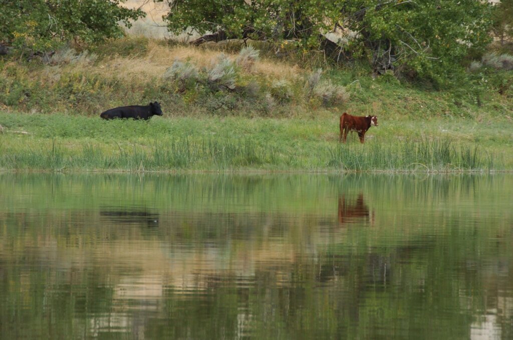 Trump Public Lands