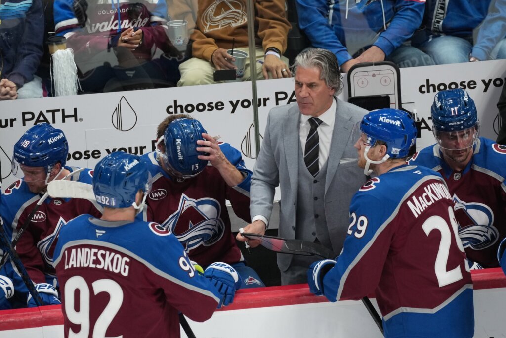 Wild Avalanche Hockey