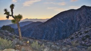Costo ambiental muro fronterizo arizona