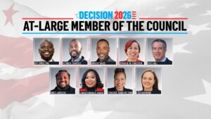 Dc council at large candidates