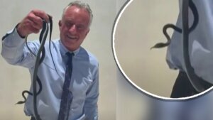 Robert kennedy jr snakes