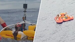 US AIR FORCE PLANE CRASH RESCUE SPLIT