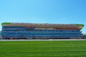 Belmont Stakes A Year From New York Horse Racing