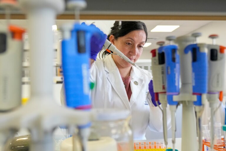 Chile Hantavirus Research