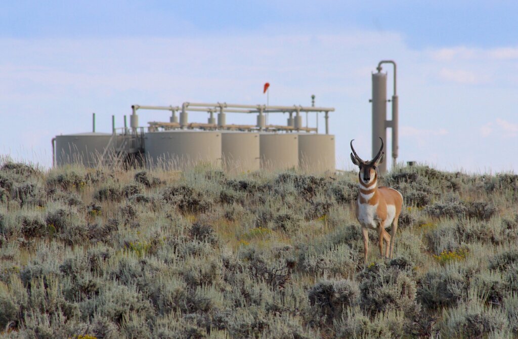 Pronghorn Protections