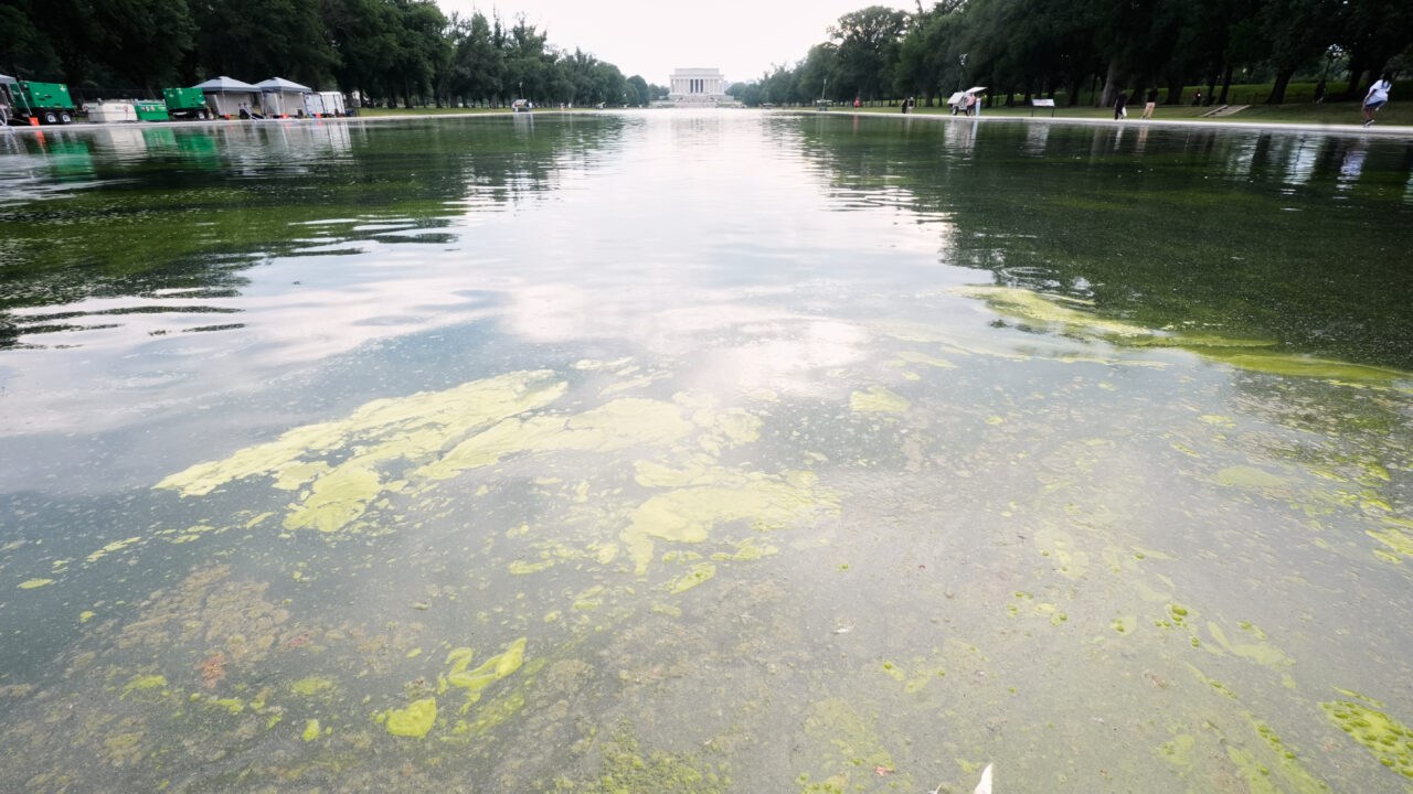Lincoln Memorial Reflecting Pool