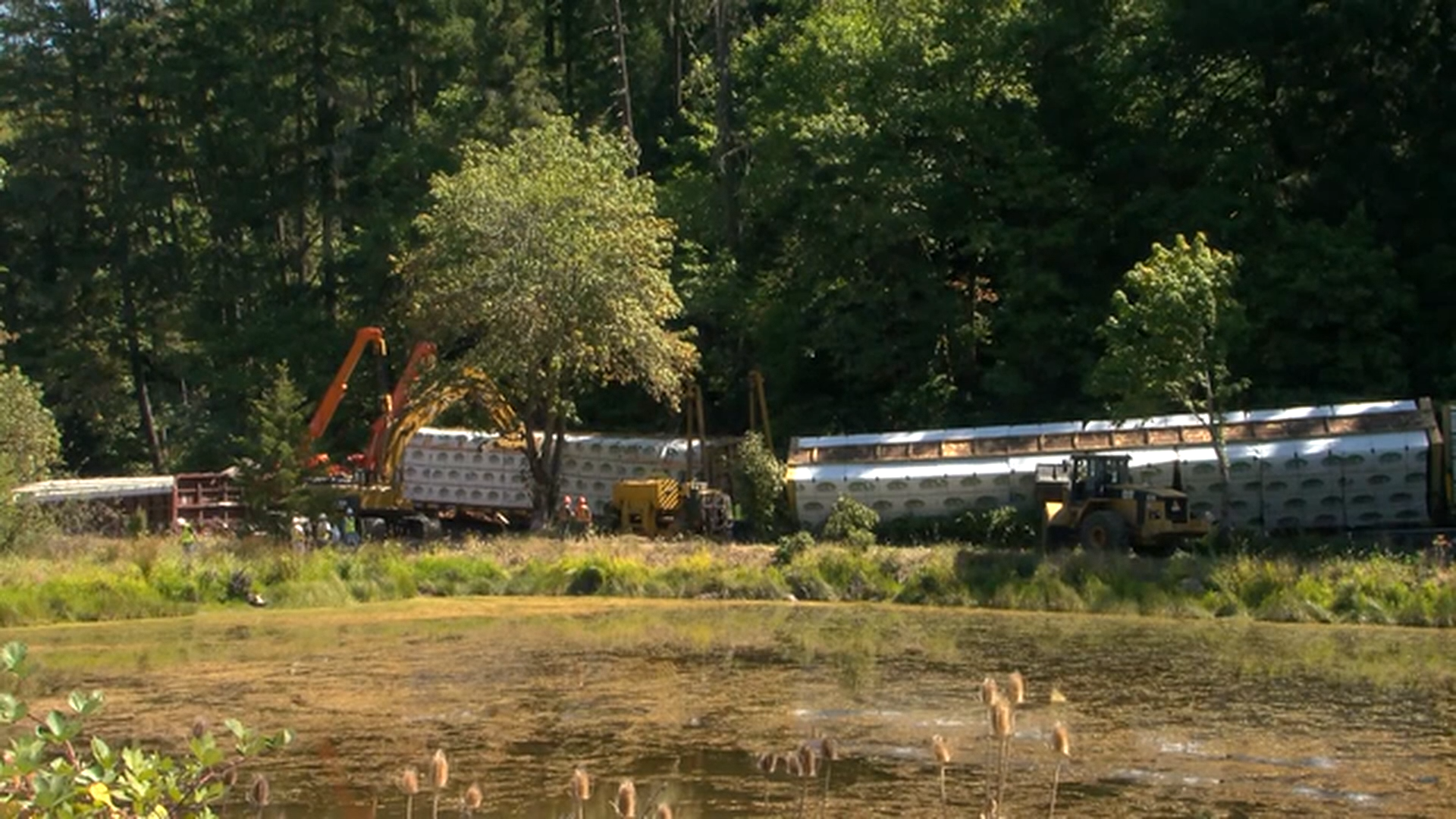 KEZITrainDerailsonFrontYard
