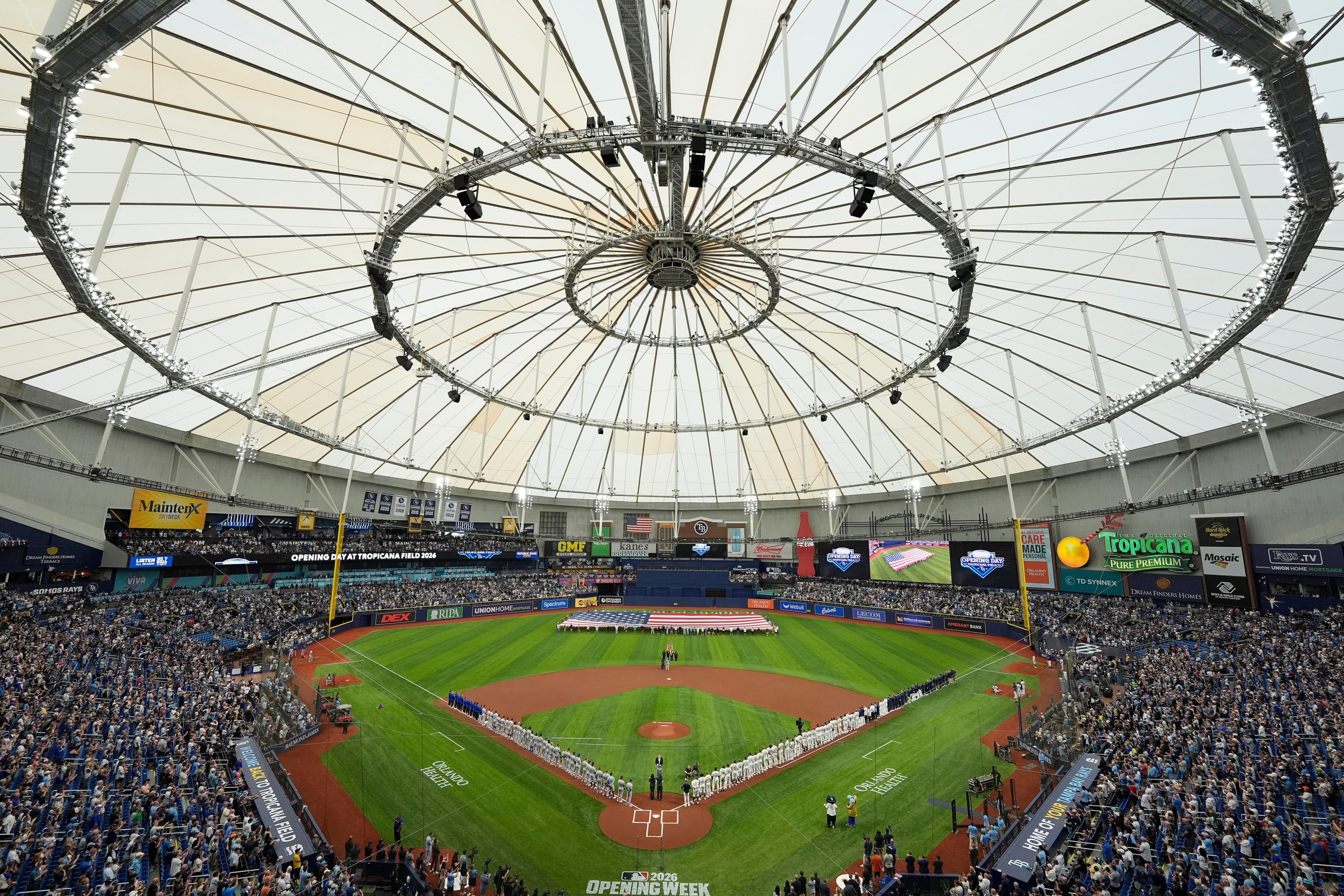 Rays Ballpark Baseball