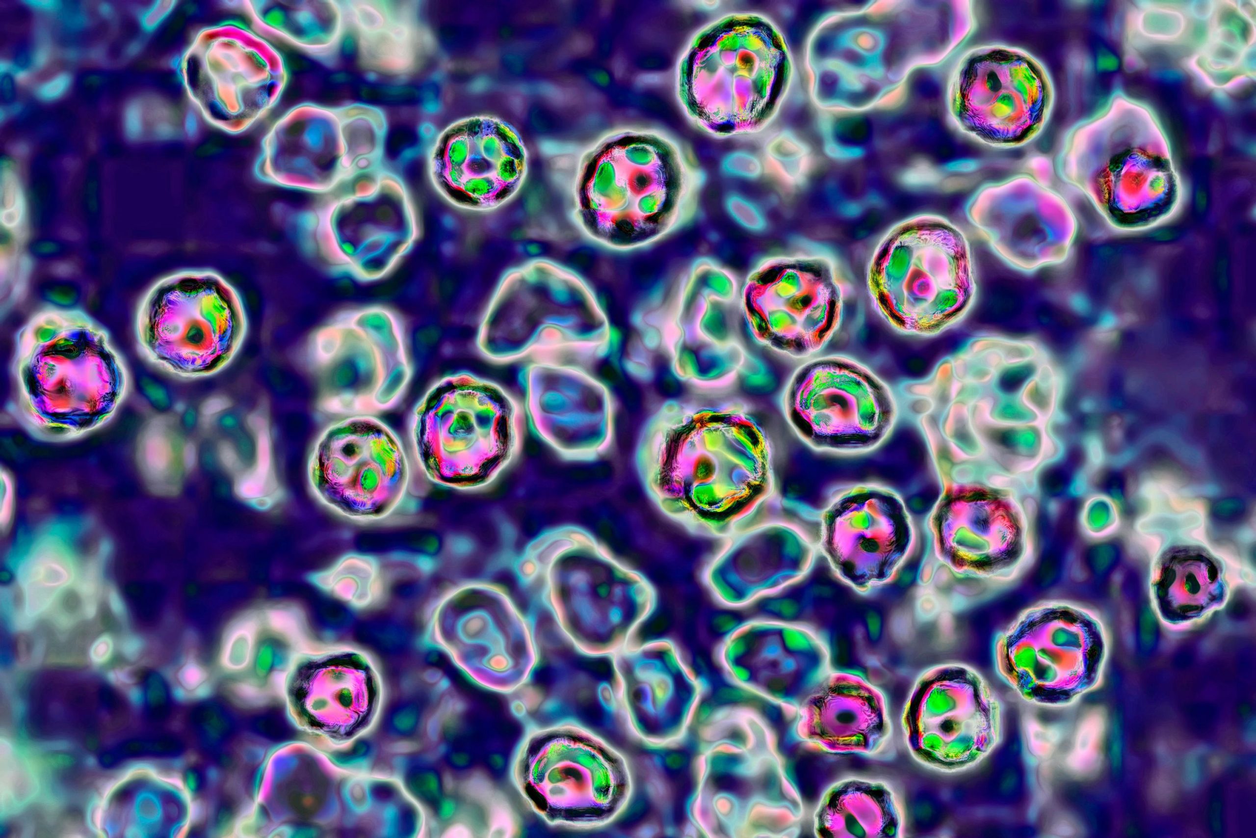 Cnn L19jb21wb25lbnRzL2ltYWdlL2luc3RhbmNlcy9jbXQ4cG5qbHcwMDFyMjlwNGd1OGc1N25j L19jb21wb25lbnRzL2FydGljbGUvaW5zdGFuY2VzL2NtdDhwbmpsdzAwMXMyOXA0ZG5xNjZqMmc=