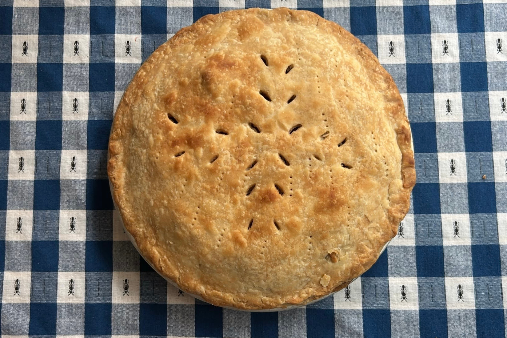 America 250 Objects Apple Pie