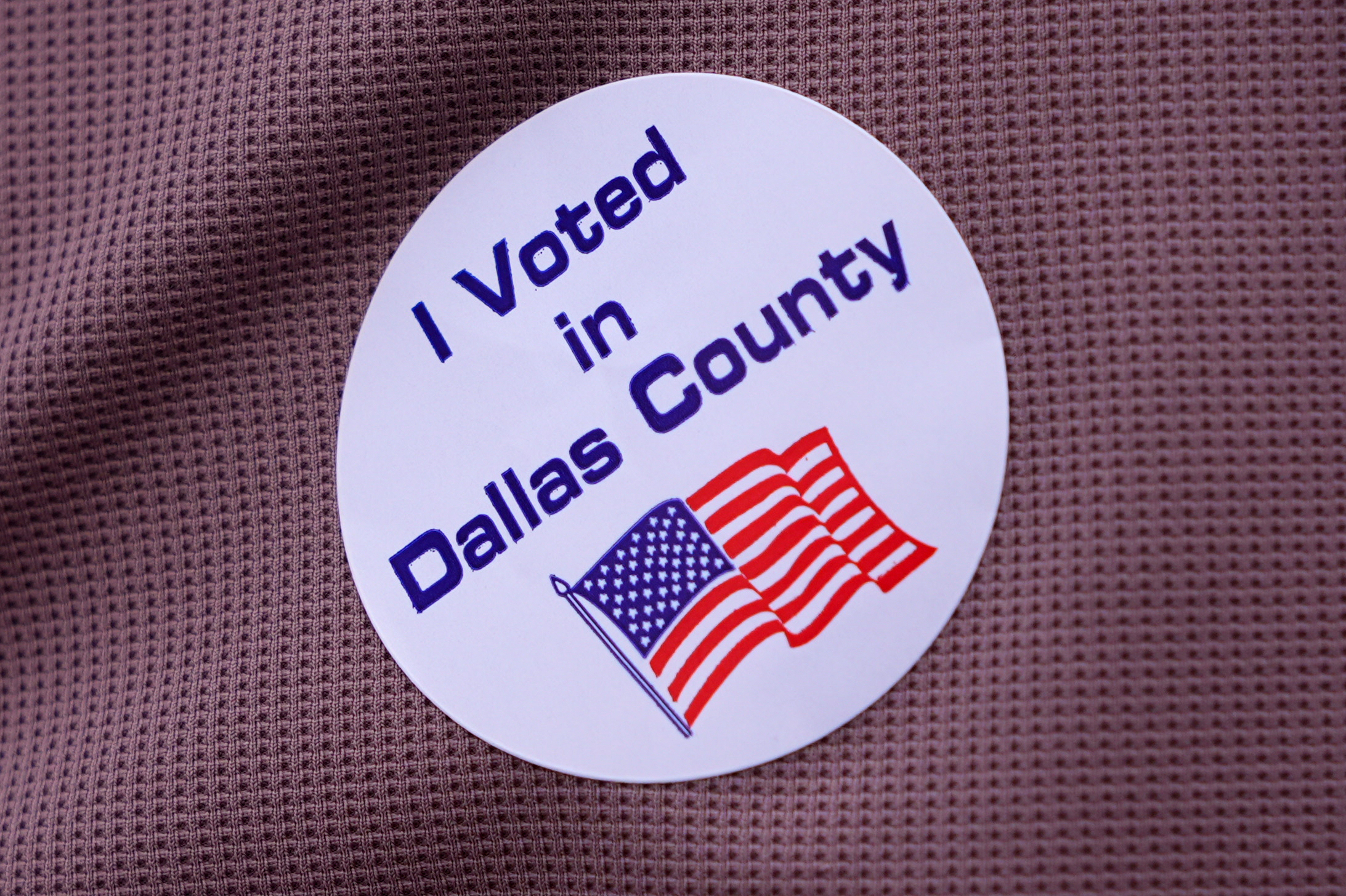 Texas Voter Registration Fact Focus